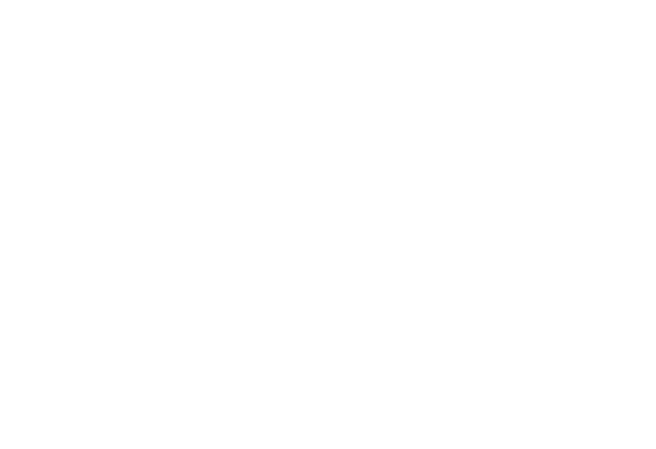 Crash Catch Logo